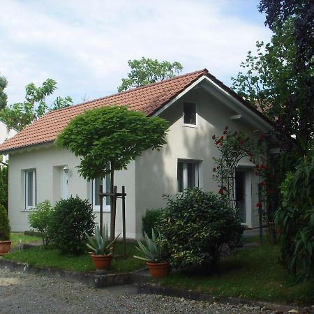 Villa Maja Markdorf Ngoại thất bức ảnh